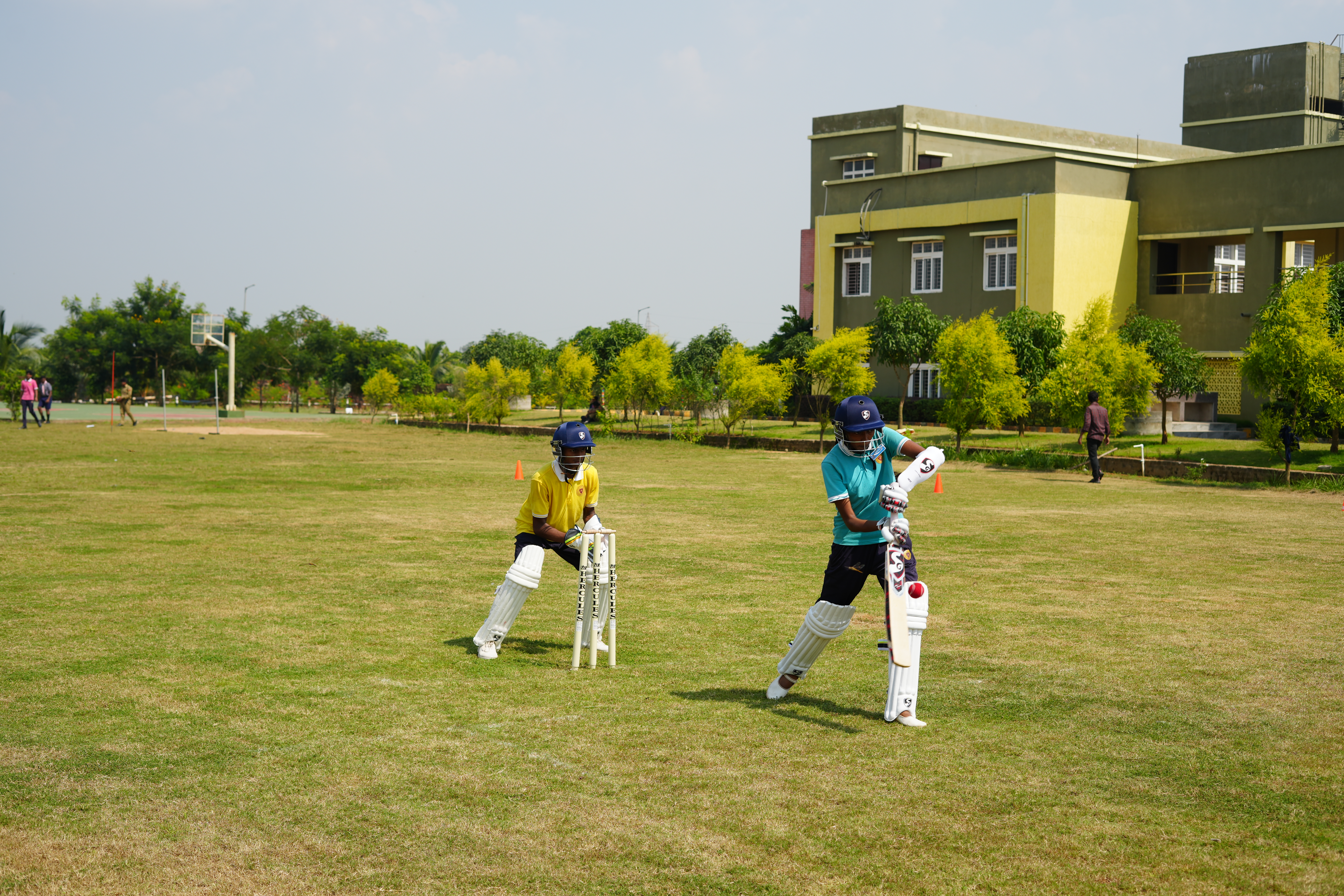 Cricket